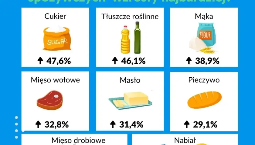 Cena ramenu w Polsce: Jak oszczędzić? Sprawdź, co się opłaca!