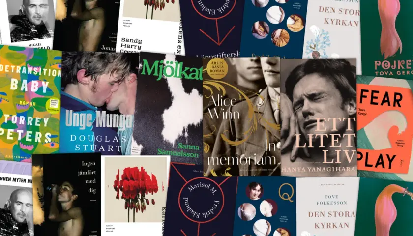 Collage of book covers featuring diverse imagery, including portraits, abstract art, and romantic scenes.