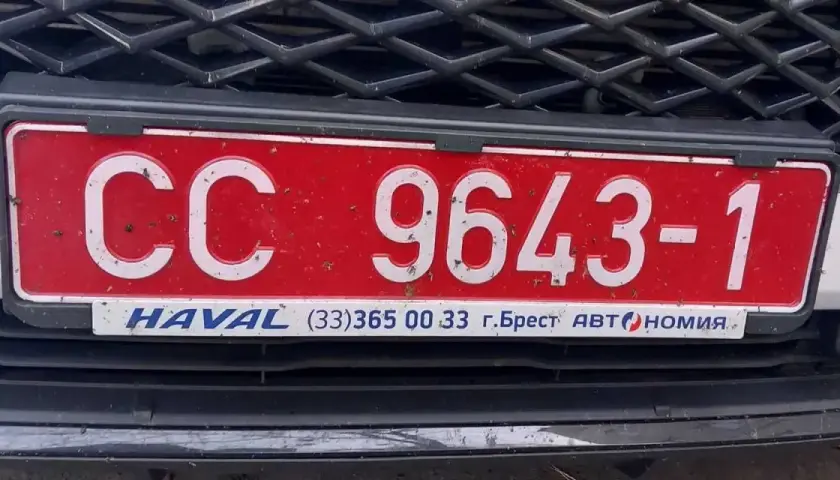 Czerwona tablica rejestracyjna CC 9643-1 z napisem "HAVAL" i numerem telefonu.