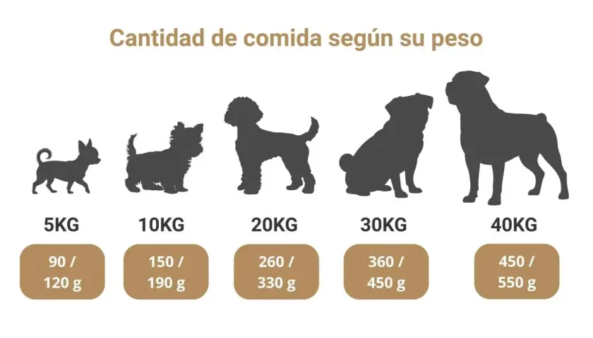 Guía visual de qué comen los perros según su peso, desde 5kg hasta 40kg, con cantidades de alimento recomendadas.