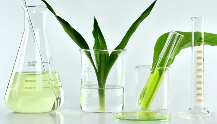 Verre de laboratoire avec des plantes vertes et un liquide jaune, évoquant la recherche sur le collagène végétal.