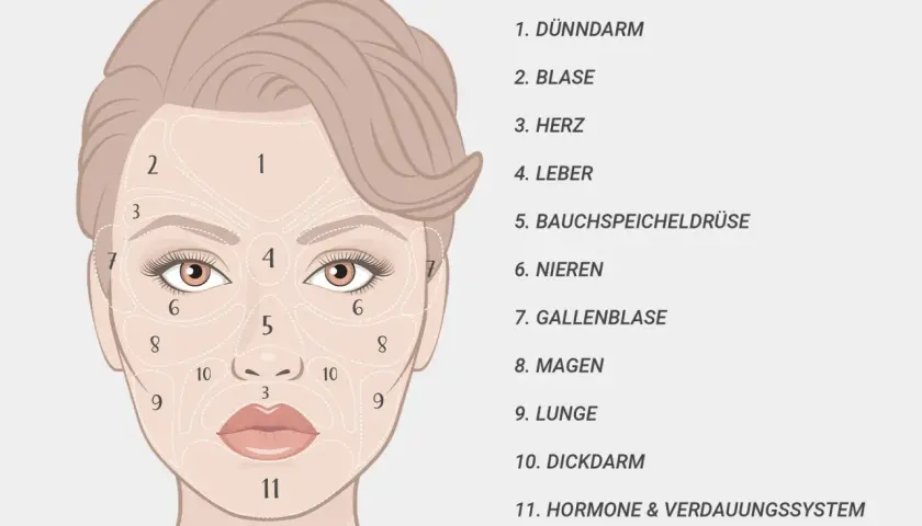 Gesichtskarte: Zonen für Pickel und Hautprobleme, z.B. T-Zone (Stirn, Nase, Kinn) und Wangen, mit Bezügen zu inneren Organen und dem Verdauungssystem.