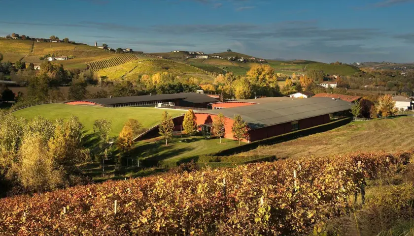 Colline piemontesi in autunno, con le **vite colte Barolo** che tingono il paesaggio di giallo e rosso, e una moderna cantina immersa nel verde.