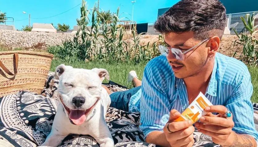 Protector solar para perros: evita quemaduras y cuida su piel