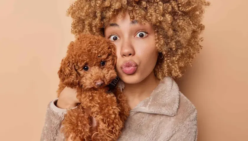 Una chica con pelo rizado abraza a un adorable perro marrón de pelo rizado, ambos con expresiones divertidas.