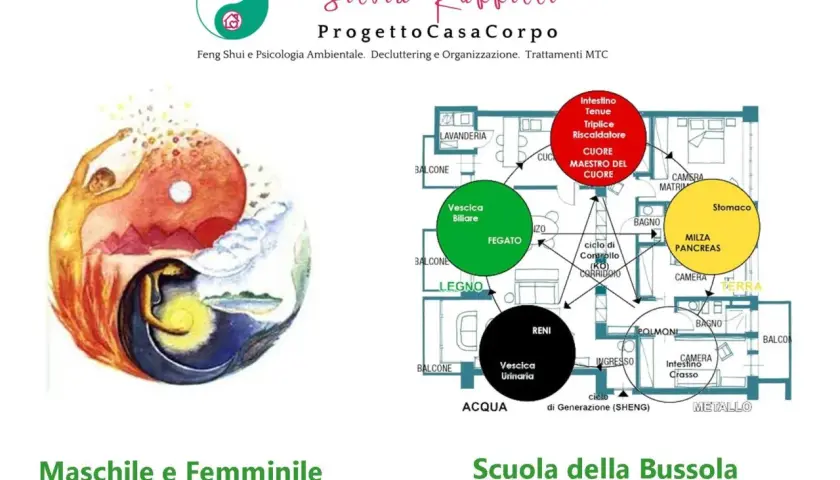 Yin Yang con figure umane, schema degli elementi e organi, per riequilibrare elemento metallo.