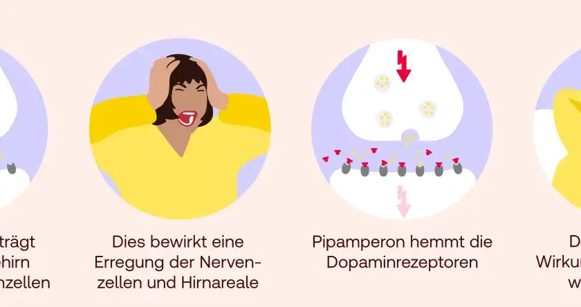 Dopamin überträgt Signale, was Erregung bewirkt. Pipamperon hemmt Dopaminrezeptoren, verhindert anregende Wirkung.