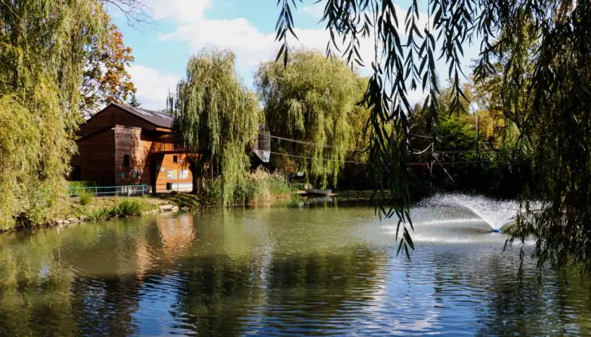 Piękny staw z fontanną i drewnianym budynkiem w tle. Zastanawiasz się, ile kosztuje bilet do zoo w Chorzowie?