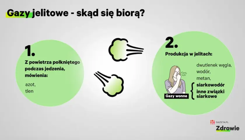 Gazy jelitowe powstają z połkniętego powietrza (azot, tlen) i produkcji w jelitach (dwutlenek węgla, wodór, metan, siarkowodór, inne związki siarkowe).