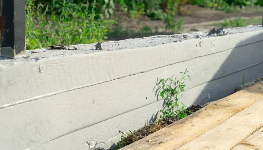 Betonowy fundament pod ogrodzenie, z widocznymi deskami szalunkowymi i zielenią.