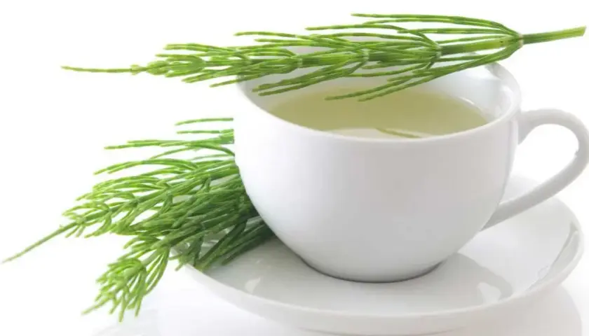 Cómo limpiar el organismo de medicamentos de forma natural y efectiva
