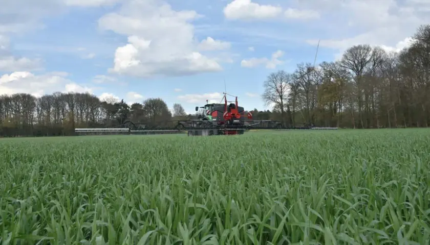 Ein Sprühgerät fährt durch ein Feld mit jungem Roggen. Die Aussaat ist erfolgreich und das Korn wächst kräftig.