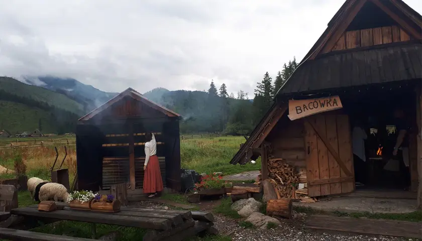 Bacówka Zakopane Oscypki – autentyczne smaki Tatr czekają na Ciebie