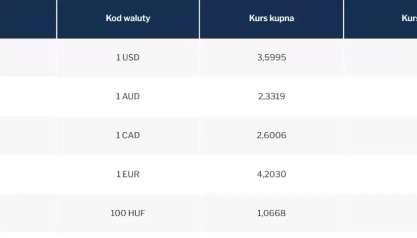 Jak kupić euro w NBP – procedury, kursy i opłaty, które musisz znać