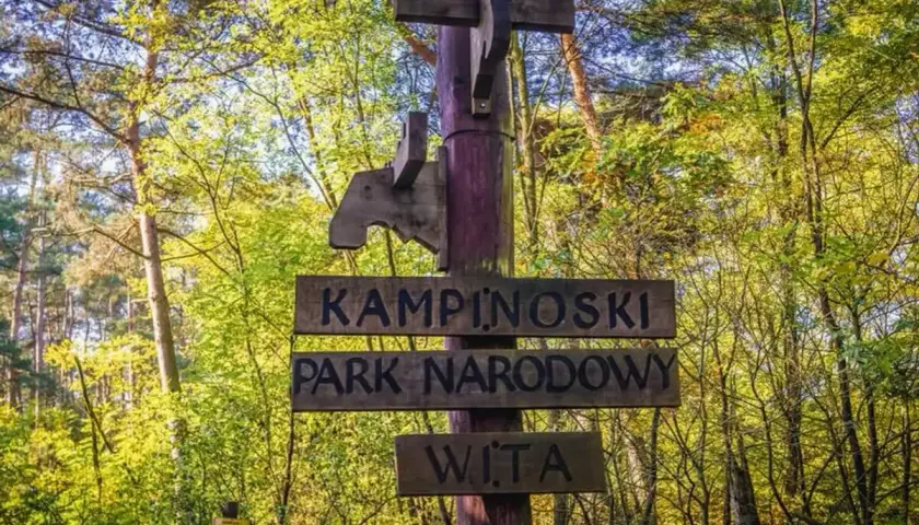 Drewniany drogowskaz "KAMPINOSKI PARK NARODOWY WITA" wita w sercu puszczy kampinoskiej, wśród zieleni drzew.