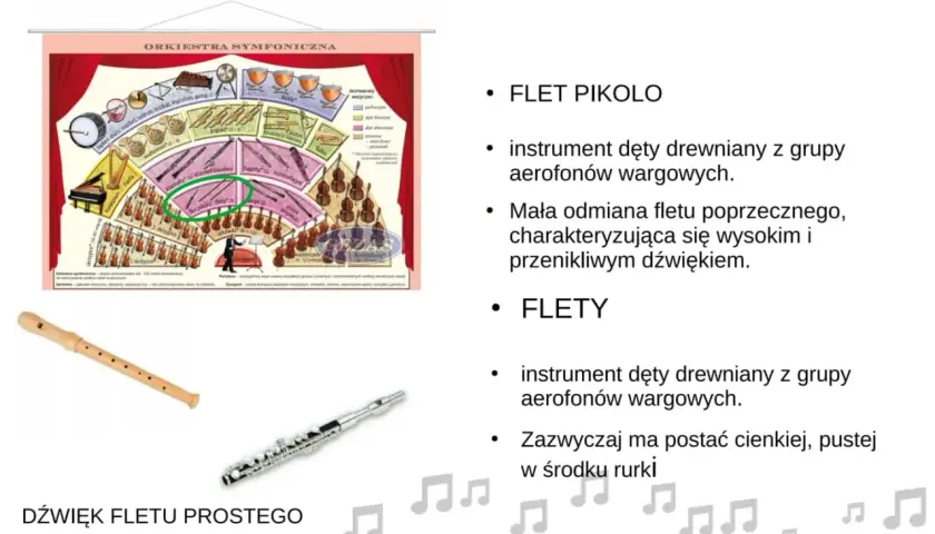Ile osób liczy orkiestra symfoniczna? Zaskakujące fakty o muzykach