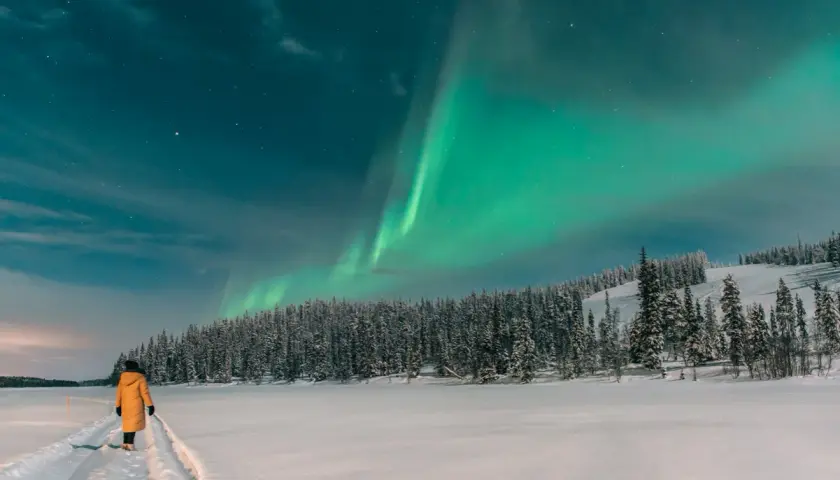 Eine Person in einem gelben Mantel steht auf einem verschneiten Weg und blickt auf die Nordlichter über einem Wald. Ein perfekter Ort, wo man im Winter Urlaub machen kann.