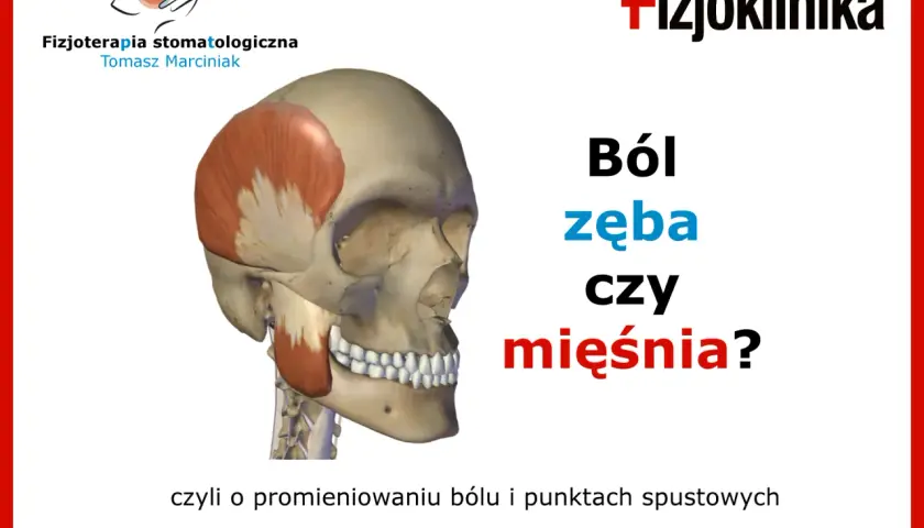 Czasem ból wszystkich zębów to nie problem z zębami, a z mięśniami. Fizjoterapia stomatologiczna pomoże!