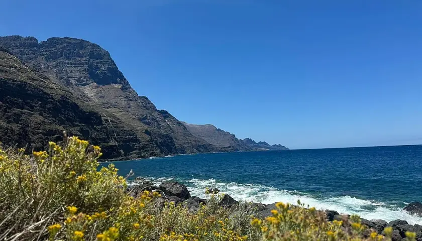 Flores amarillas en primer plano, mar azul y acantilados imponentes en la playa de Guayedra.
