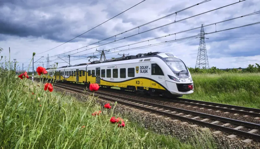 Nowy pociąg Newag Impuls Kolei Dolnośląskich mija pole maków pod burzowym niebem.