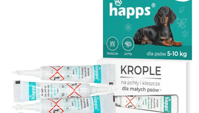 Co na kleszcze dla psa? Wybierz najlepszy i bezpieczny preparat