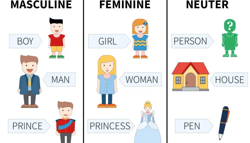 Esempi di nomi inglesi: BOY, MAN, PRINCE (maschile); GIRL, WOMAN, PRINCESS (femminile); PERSON, HOUSE, PEN (neutro).