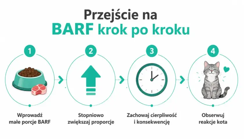 Przejście na BARF krok po kroku: wprowadź małe porcje, stopniowo zwiększaj, zachowaj cierpliwość i obserwuj reakcje kota.