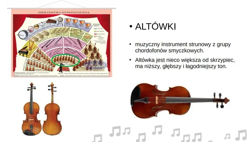 Na schemacie orkiestry symfonicznej zaznaczono altówki. Instrument ten jest większy od skrzypiec, co to jest orkiestra symfoniczna.