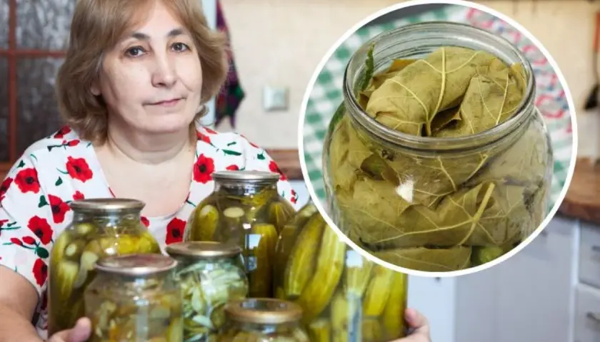 Czy można kroić ogórki do kiszenia? Oto, co musisz wiedzieć