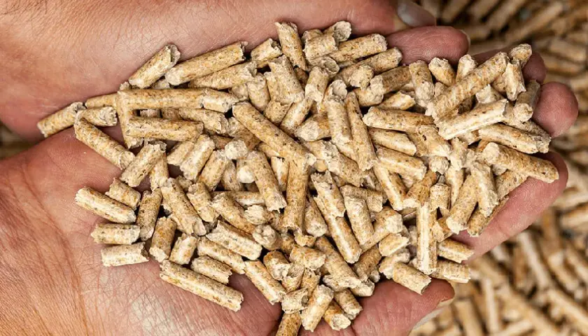 Dlaczego pellet drożeje? Oto przyczyny wzrostu jego cen w Polsce