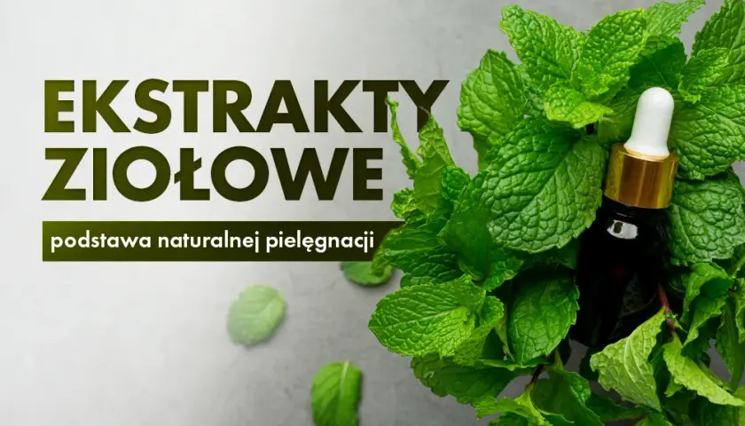 Jak zrobić ekstrakt roślinny - proste metody i najczęstsze błędy
