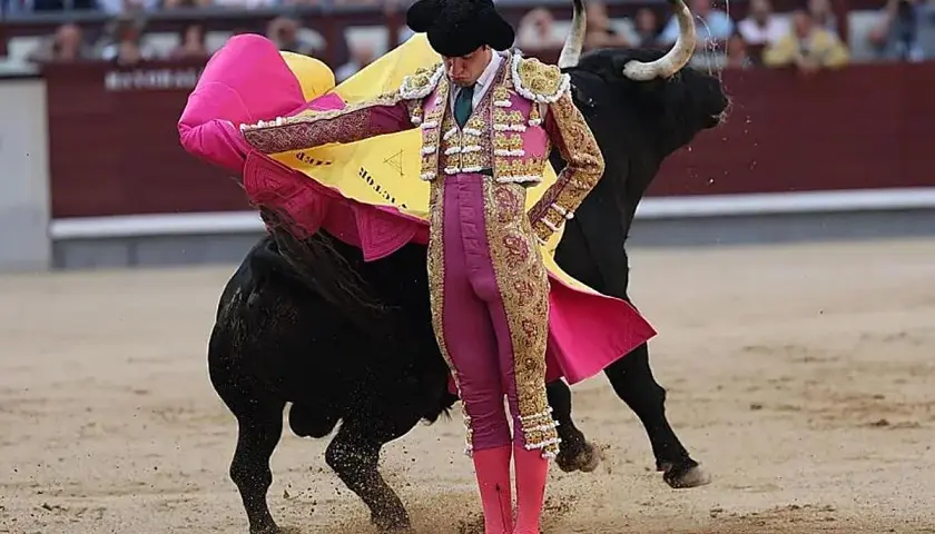 Torero en traje de luces, con capote rosa y amarillo, frente a un toro negro. Se especula cuanto cobra un torero por corrida.