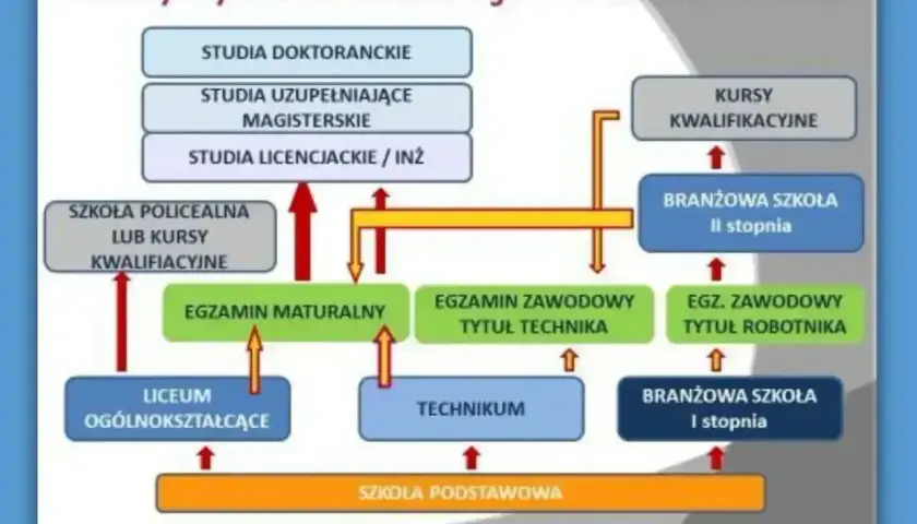 Schemat ścieżek kształcenia po szkole podstawowej: liceum, technikum, branżowa szkoła I stopnia. Dalej egzaminy, szkoły policealne, kursy, branżowa szkoła II stopnia, studia. Wykształcenie średnie to podstawa.