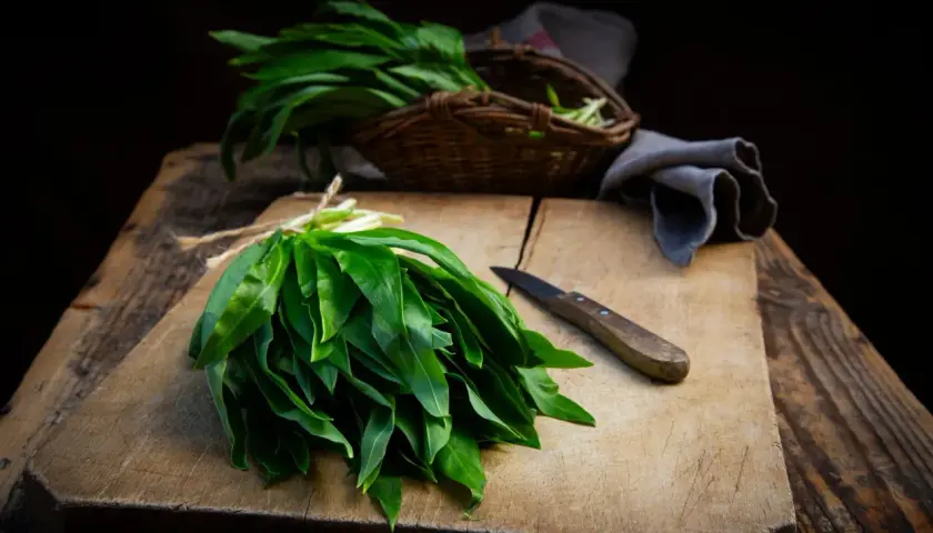 Un bouquet d'ail des ours fraîchement cueilli, prêt pour une recette. Un couteau repose sur la planche à découper en bois.