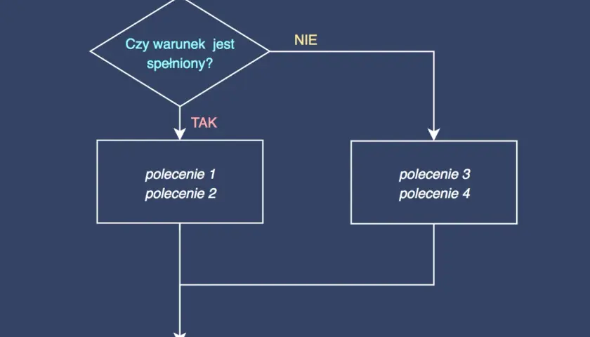 Schemat blokowy: pytanie "Czy warunek jest spełniony?", rozgałęzienie na "TAK" (polecenie 1, 2) i "NIE" (polecenie 3, 4). To prosty value object.