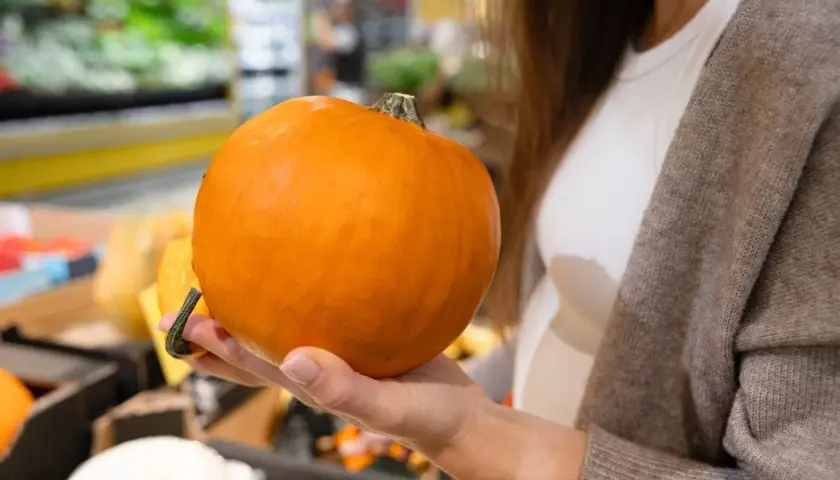 Mano che tiene una zucca Delica arancione, pronta per essere cucinata.