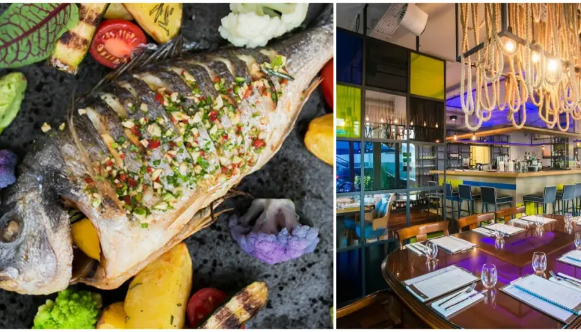 Serock gdzie zjeść – najlepsze restauracje i smaki, które musisz poznać