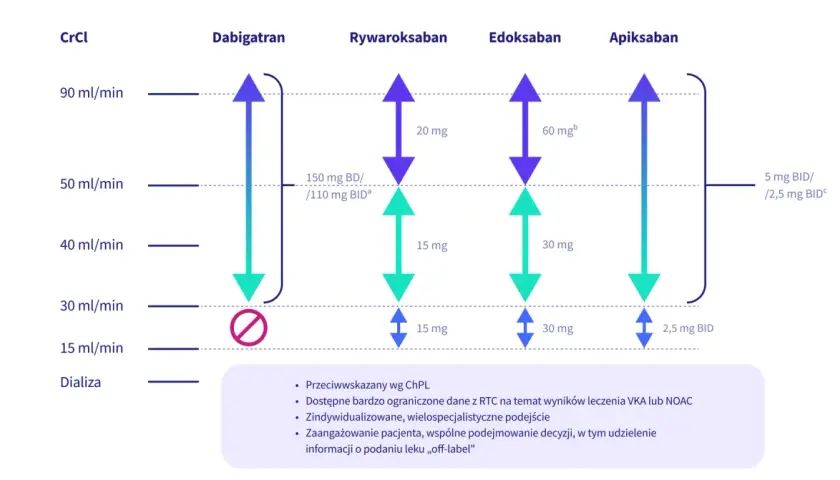 Wykres pokazuje dawkowanie leków przeciwzakrzepowych (dabigatran, rywaroksaban, edoksaban, apiksaban) w zależności od klirensu kreatyniny (CrCl). Pradaxa (dabigatran) ma specyficzne dawkowanie przy CrCl poniżej 30 ml/min.