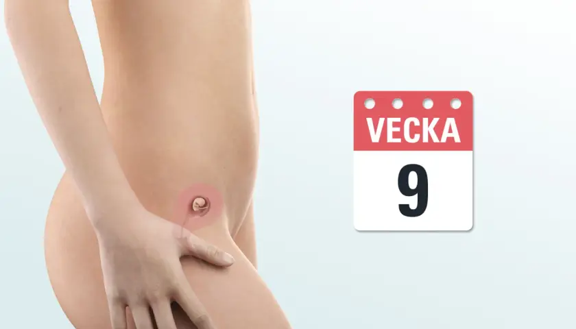 Gravid vecka 9: ett embryo växer i livmodern. En kalender visar "Vecka 9".