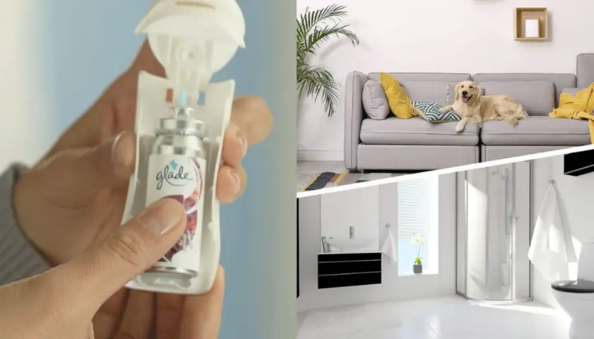 Un ambientador Glade en mano, un perro en el sofá y un baño reluciente. ¡Todo huele a limpio!