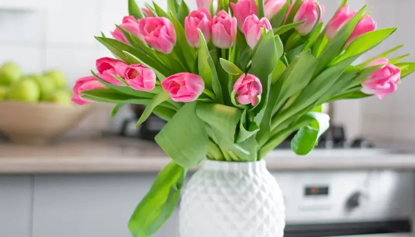 Piękne, różowe tulipany w białym, ozdobnym wazonie. Bukiet świeżych kwiatów dodaje uroku kuchennemu wnętrzu.