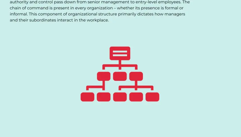 Organizational chart showing a hierarchy. This illustrates why the chain of command is important for clear communication and control in any business.