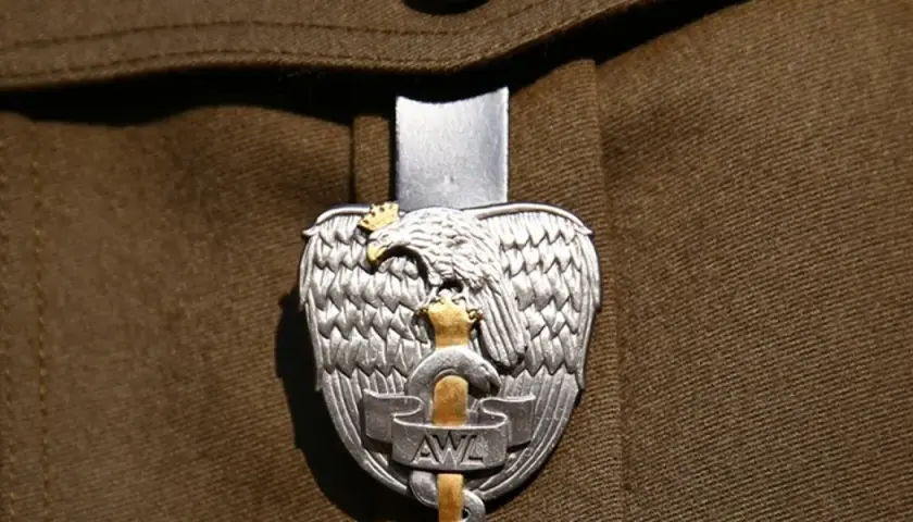 Orzeł wojskowy z koroną i mieczem, symbol najniższego stopnia oficerskiego, na brązowym mundurze.