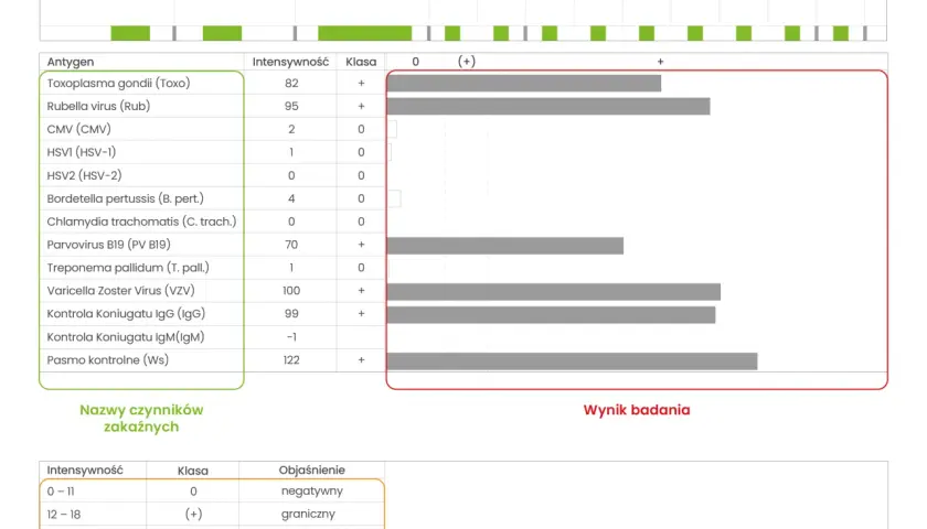 Wynik badania igg: Toxoplasma gondii (Toxo) i Rubella virus (Rub) dodatnie, VZV i Parvovirus B19 (PV B19) dodatnie.