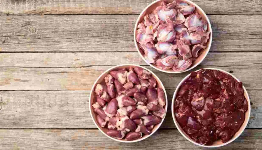 Podroby dla psa: superfoods czy zagrożenie? Dawkowanie i zakazy