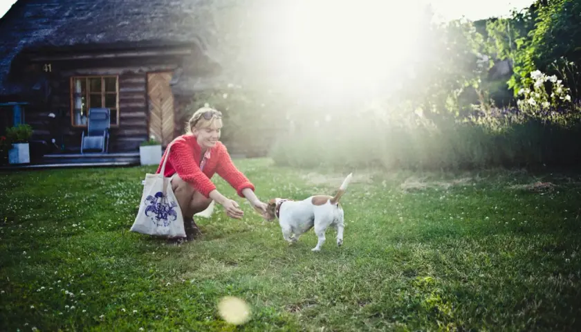 Frau übt mit ihrem Hund Hunde Kommandos im Garten. Sonnenschein und ein gemütliches Haus im Hintergrund.
