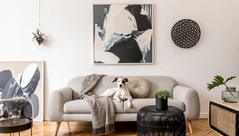 A dog lounges on a sofa, inspiring ideas on how to choose art for your home. Abstract art adorns the wall.