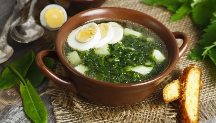 Ile kalorii ma zupa szczawiowa? Sprawdź wartość odżywczą i wpływ na dietę