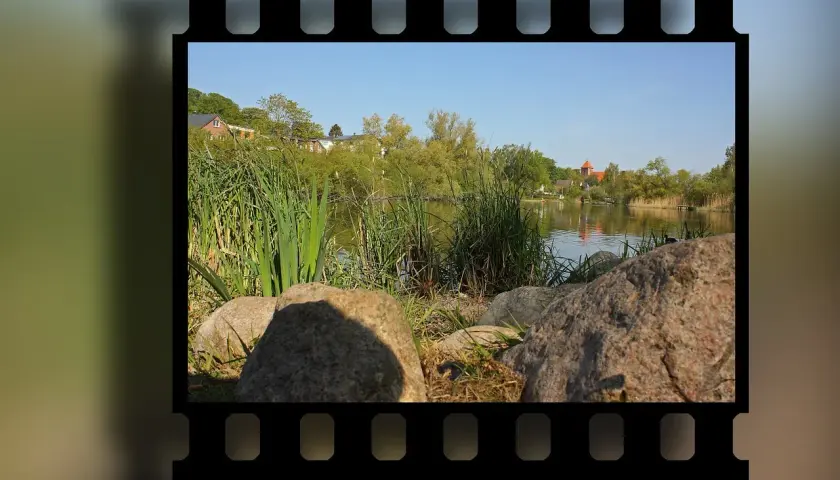 Obraz na kliszy fotograficznej: spokojny widok na jezioro z trzcinami, kamieniami i domami w tle.