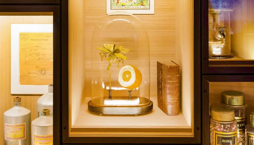 W muzeum perfum w Paryżu, pod kloszem, kwiat i pomarańcza, obok starej książki.